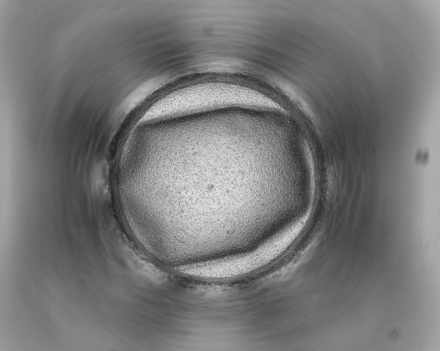 X0000091490970200709061857