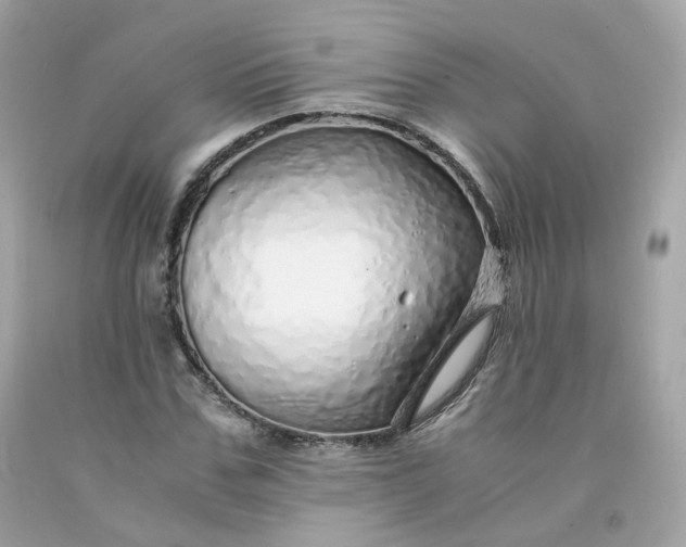 X0000091490971200709061857