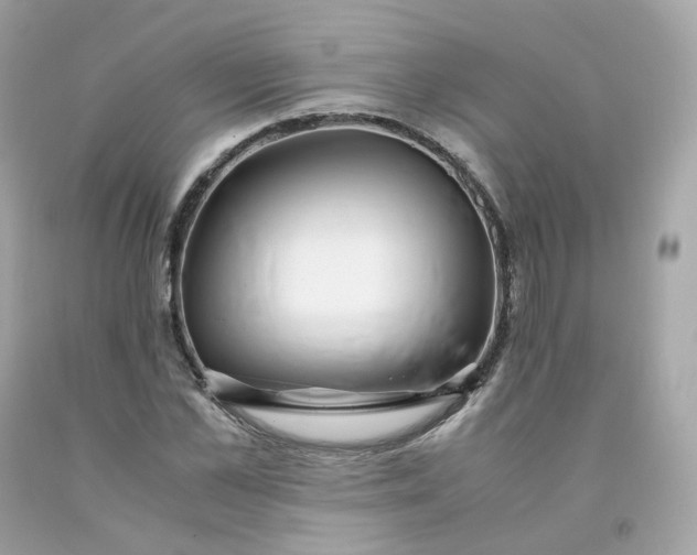 X0000091490973200709061857