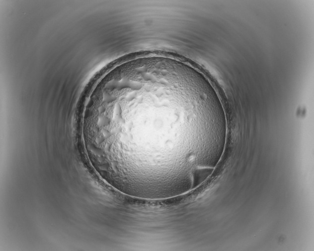 X0000091490975200709061857