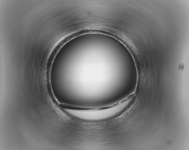 X0000091490976200709061857