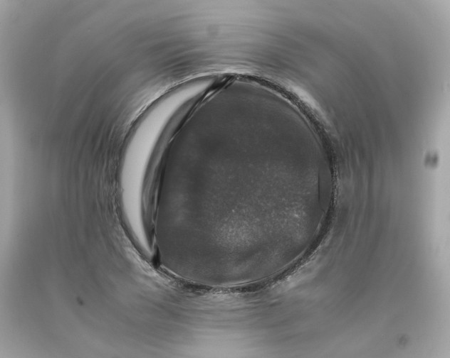 X0000091490977200709061857