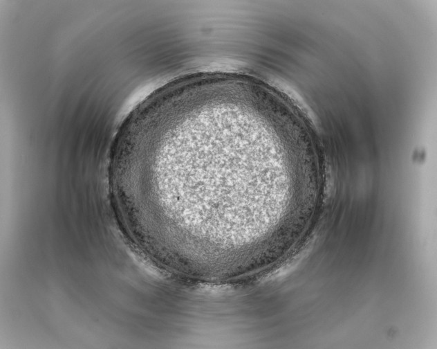 X0000091490978200709061857