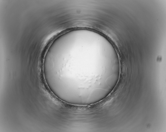 X0000091490979200709061857