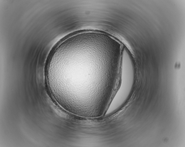 X0000091490980200709061857