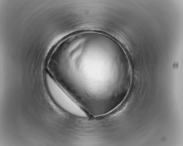 X0000091490981200709061857