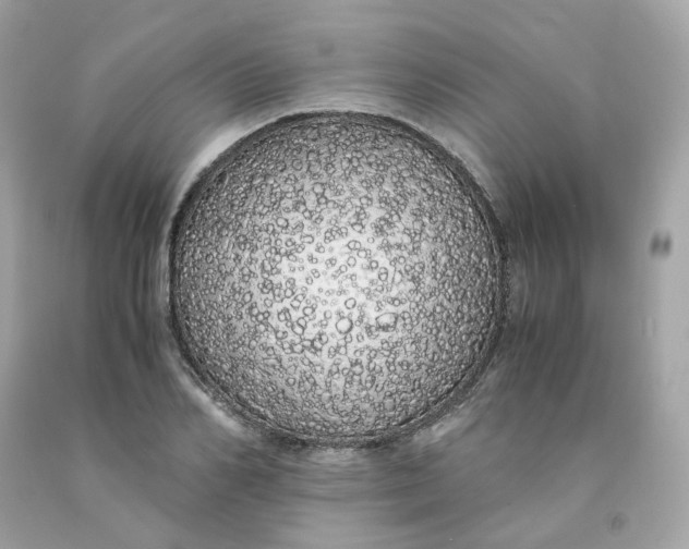 X0000091490982200709061857