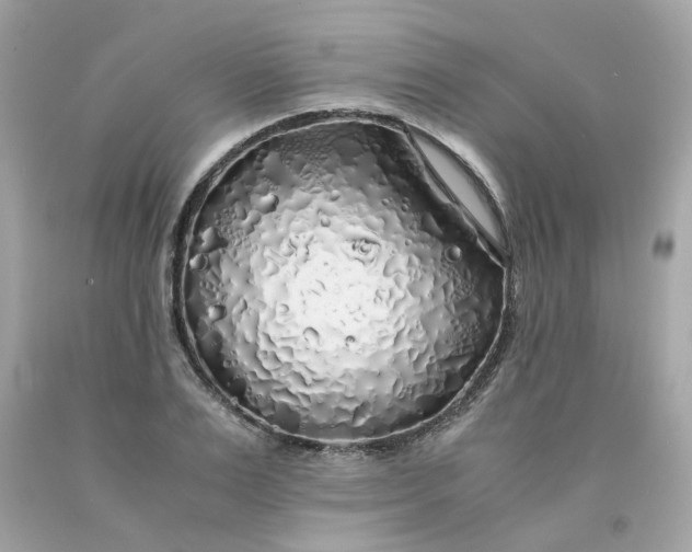 X0000091490983200709061857