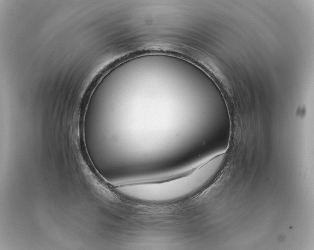 X0000091490984200709061857