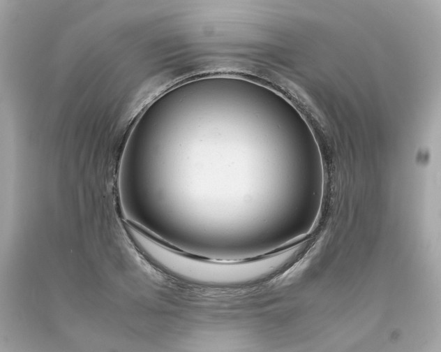 X0000091490985200709061857