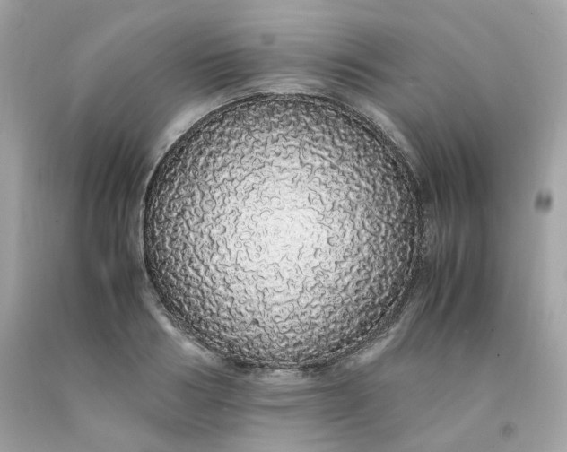 X0000091490986200709061857