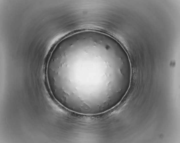 X0000091490987200709061857