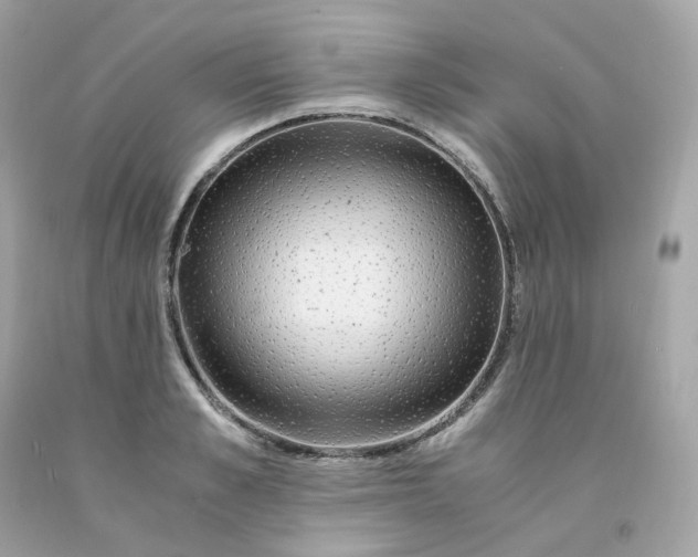 X0000091490989200709061857