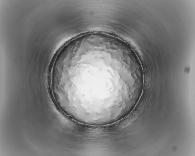 X0000091490991200709061857