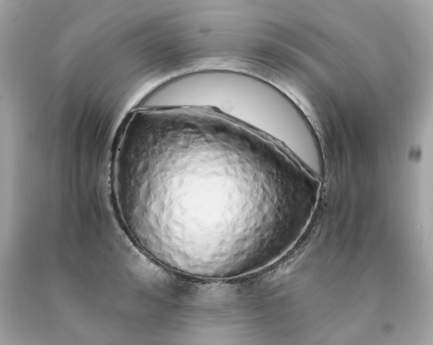 X0000091490992200709061857