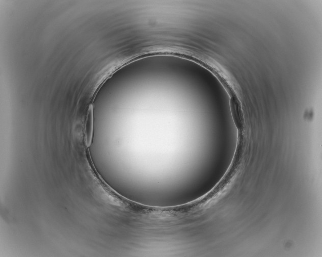 X0000091490993200709061857