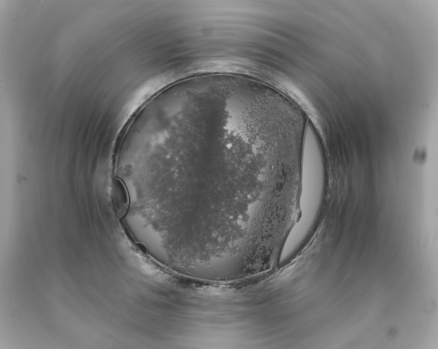 X0000091490994200709061857