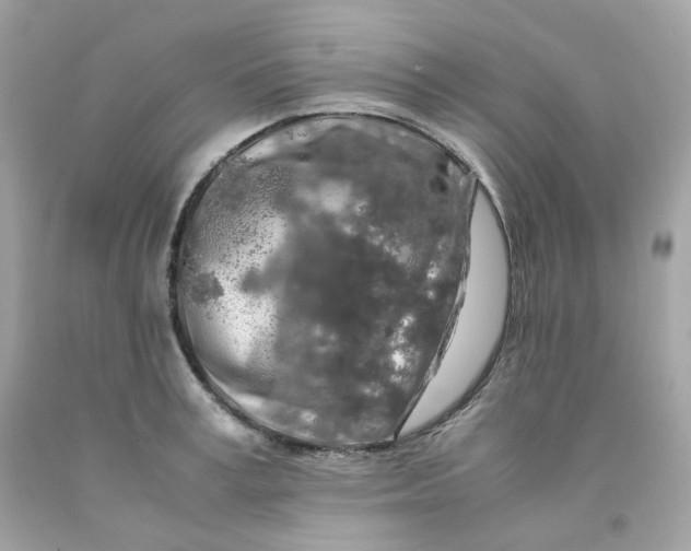 X0000091490995200709061857