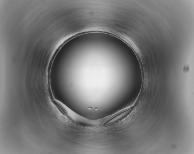 X0000091490996200709061857