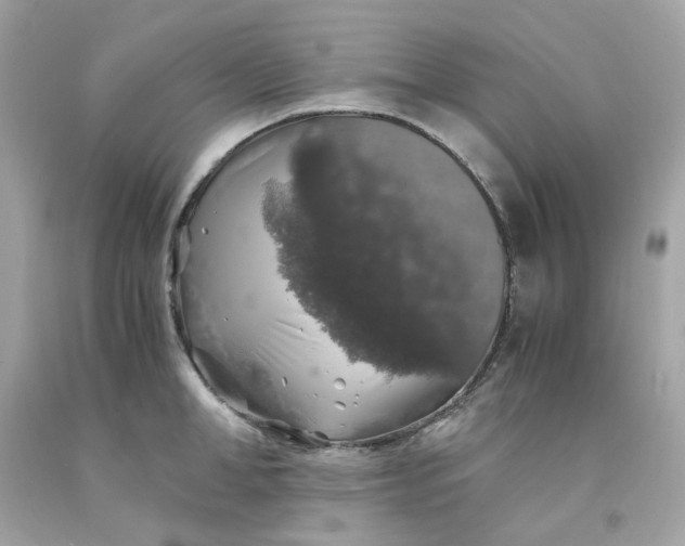 X0000091490998200709061857