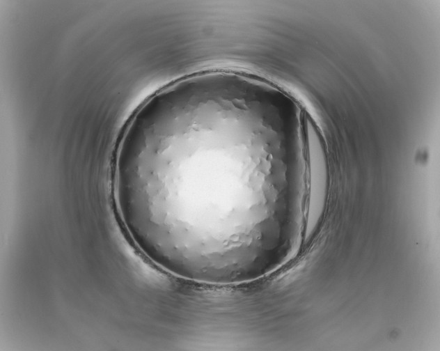 X0000091490999200709061857