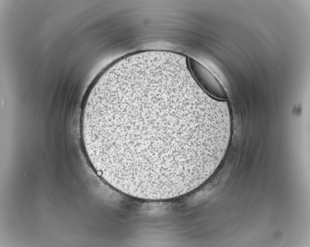 X0000091491000200709061857