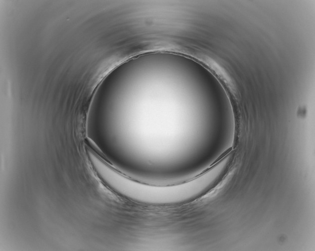 X0000091491001200709061857