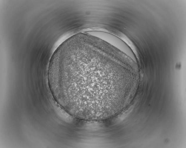 X0000091491002200709061857