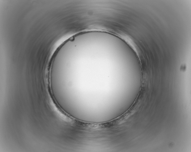 X0000091491003200709061857