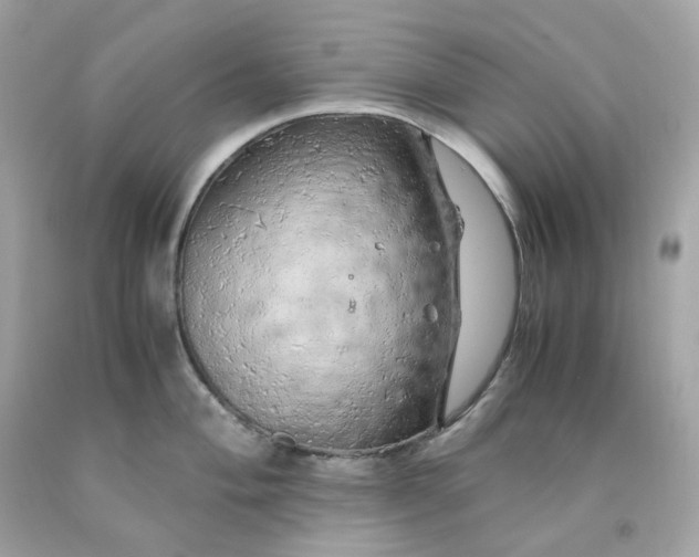 X0000091491004200709061857