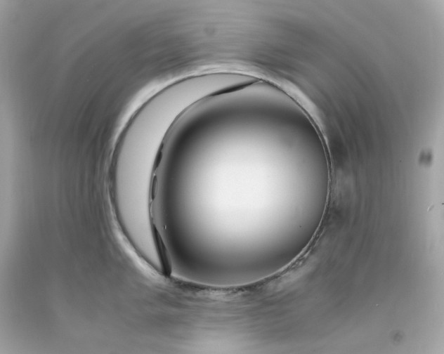 X0000091491005200709061857