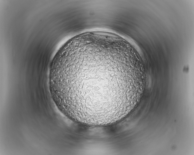 X0000091491006200709061857