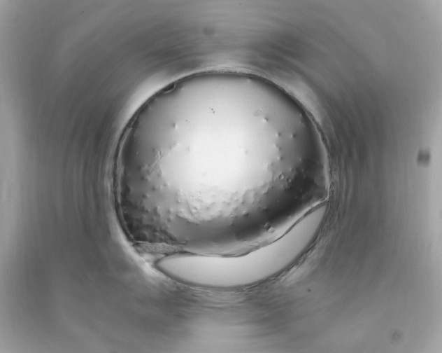 X0000091491007200709061857