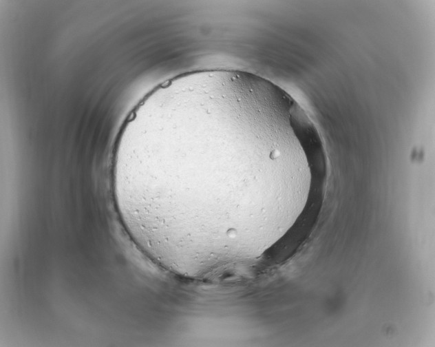 X0000091491008200709061857