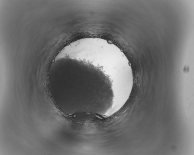 X0000091491009200709061856