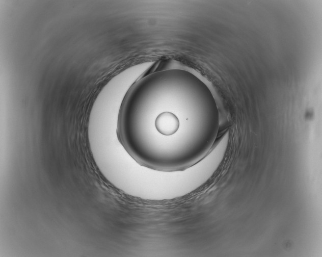 X0000091491010200709061856