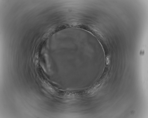 X0000091491011200709061856