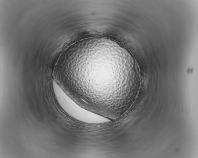 X0000091491012200709061856