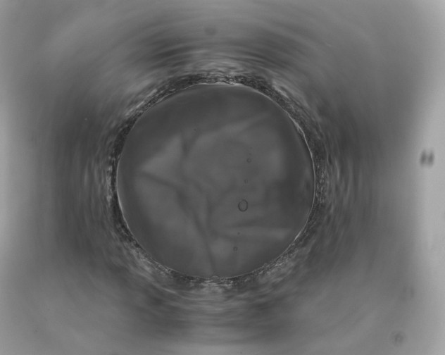 X0000091491013200709061856