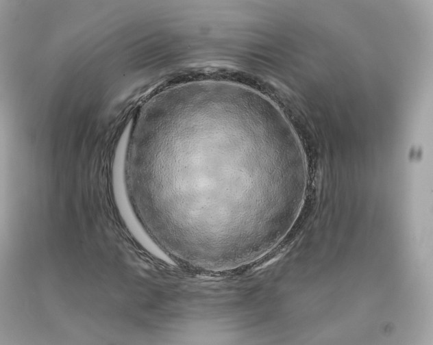 X0000091491014200709061856