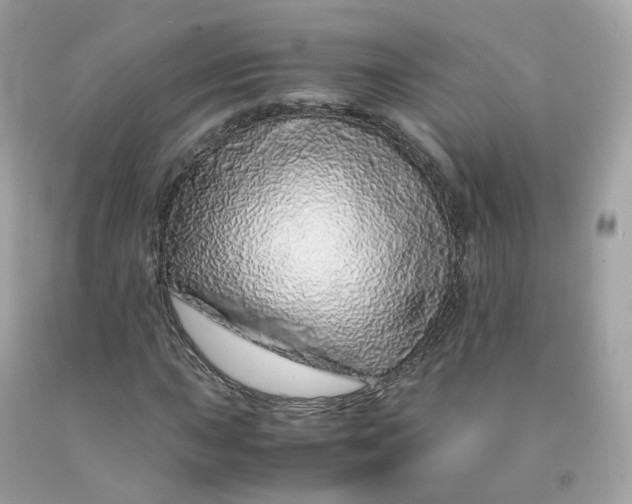 X0000091491015200709061856