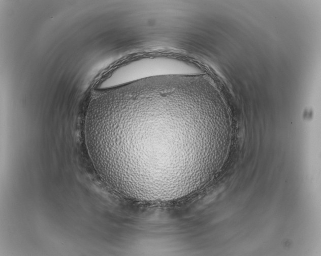 X0000091491016200709061856