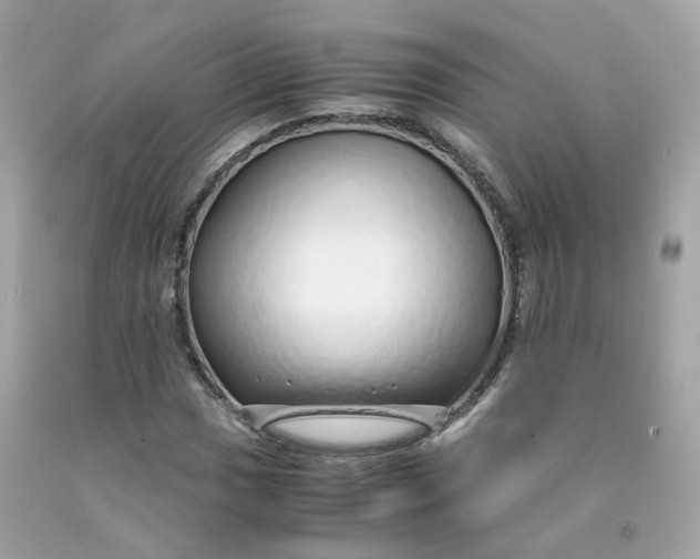 X0000091491017200709061856