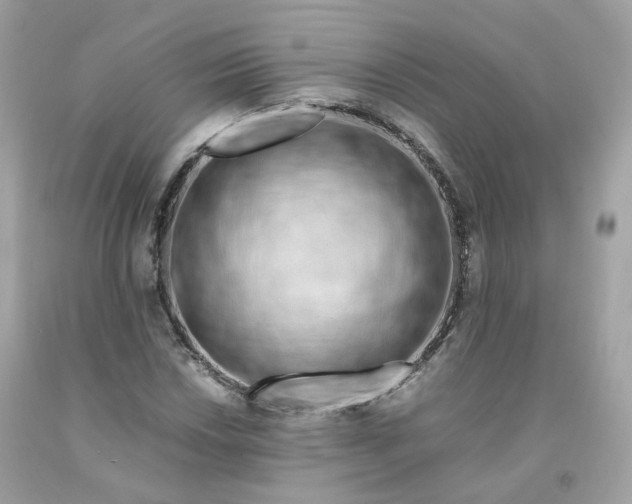 X0000091491018200709061856