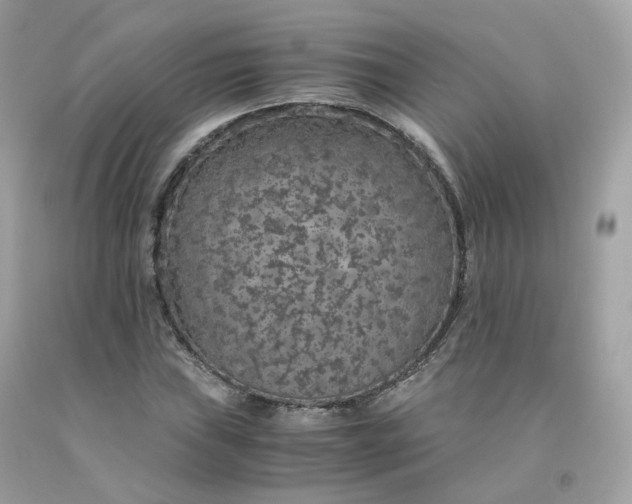 X0000091491019200709061856