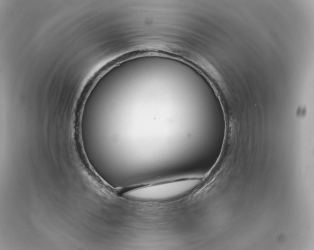 X0000091491020200709061856