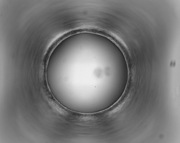 X0000091491021200709061856