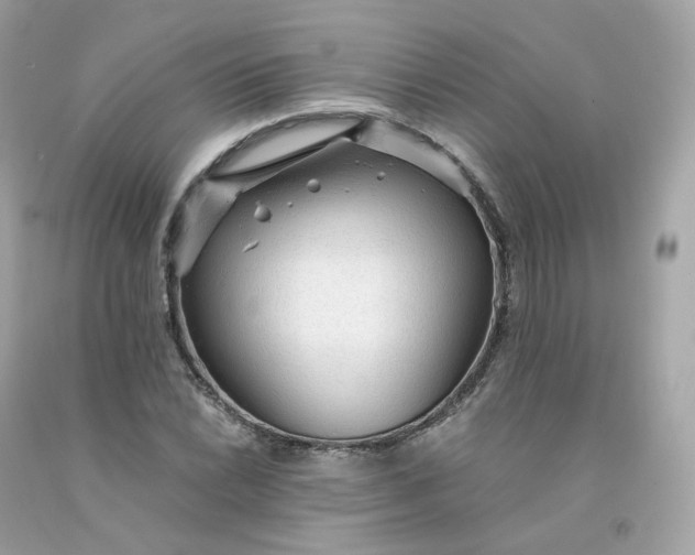 X0000091491022200709061856