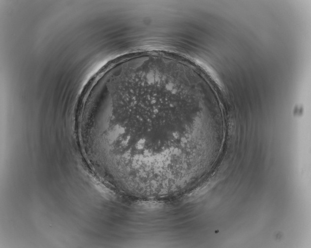 X0000091491023200709061856