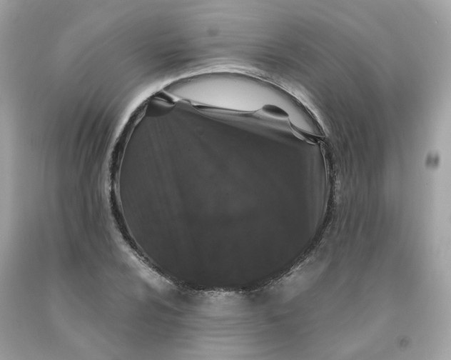 X0000091491024200709061856